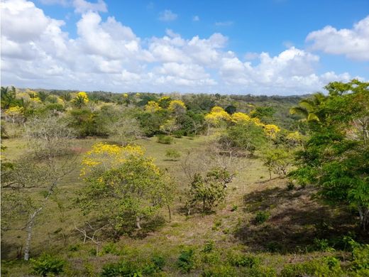 Ρουστίκ ή αγροικία σε La Chorrera, Distrito de La Chorrera