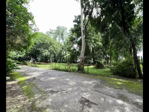 토지 / 파나마 시, Distrito de Panamá