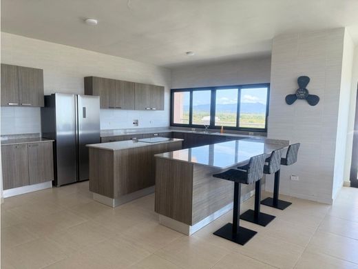 Apartment in San Carlos, Distrito de San Carlos