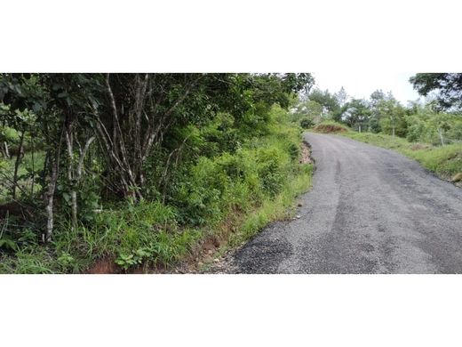 Penonomé, Distrito Penonoméの土地