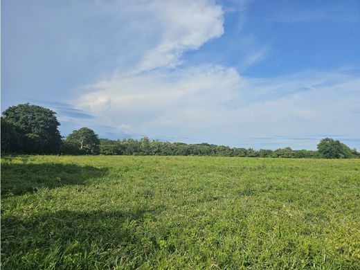 ﻣﻨﺰﻝ ﺭﻳﻔﻲ/ ﺑﻴﺖ ﻤﺰﺭﻋﺔ ﻓﻲ Antón, Distrito de Antón