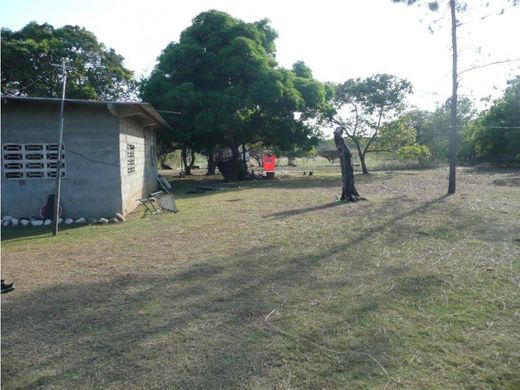 San Carlos, Distrito de San Carlosの土地