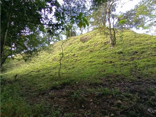 Río Sereno, Distrito de Renacimientoの土地