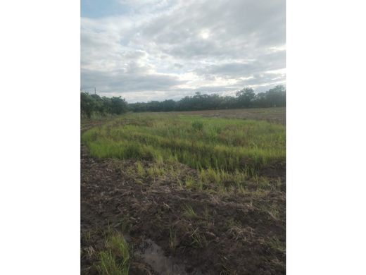 ‏בתים כפריים או חוות ב  Penonomé, Distrito Penonomé