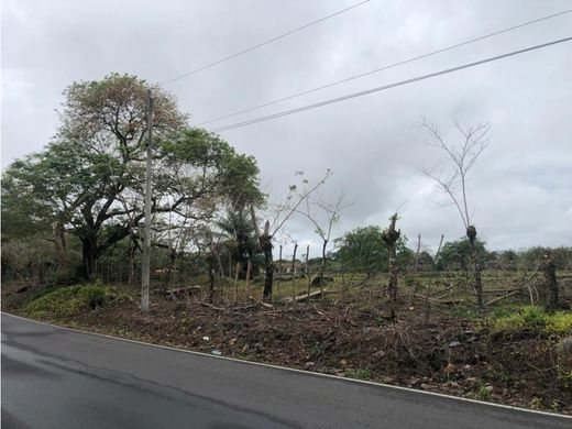 Land in Bágala, Distrito de Boquerón