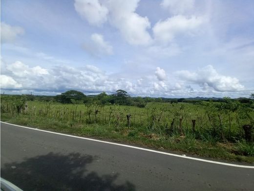 Ferme à Pesé, Distrito de Pesé