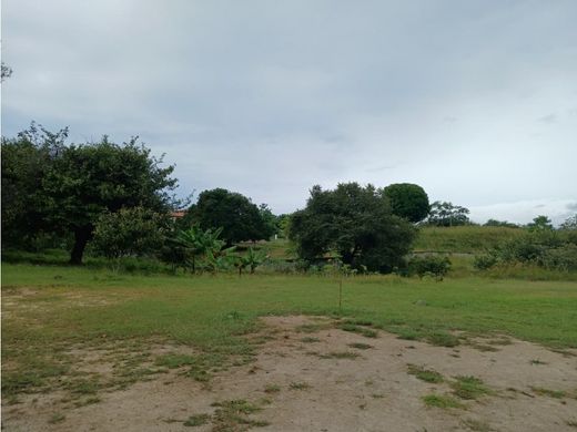 San Carlos, Distrito de San Carlosの土地