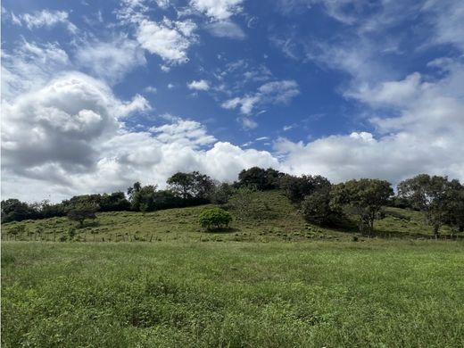 Grundstück in Penonomé, Distrito Penonomé