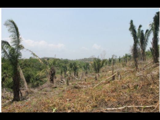 Arsa Chilibre, Distrito de Panamá