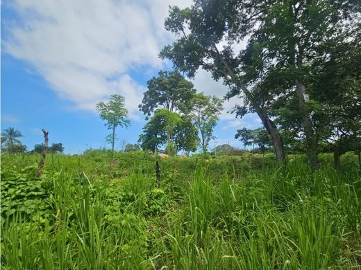 ‏בתים כפריים או חוות ב  La Chorrera, Distrito de La Chorrera