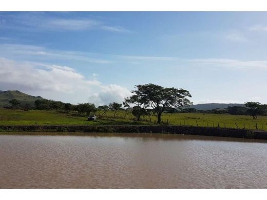 ‏בתים כפריים או חוות ב  Penonomé, Distrito Penonomé