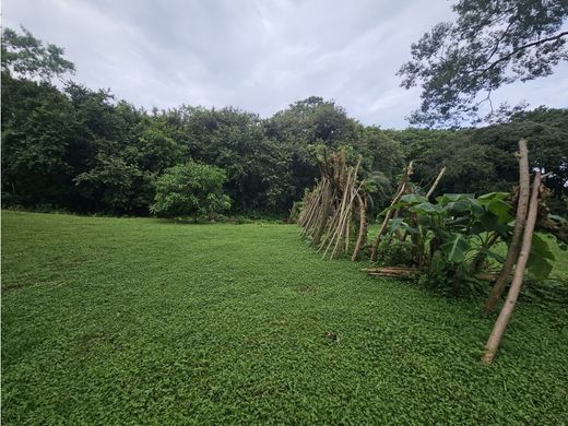 Ferme à Penonomé, Distrito Penonomé