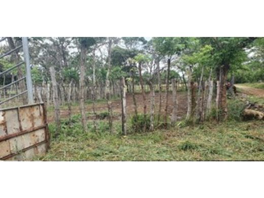 Apartment in Dolega District, Distrito de Dolega