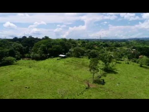 Rustik ya da çiftlik La Chorrera, Distrito de La Chorrera