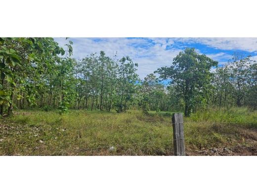 Quinta rústica - David, Distrito de David