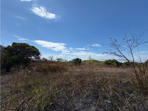 Land in San Carlos, Distrito de San Carlos