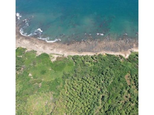 토지 / Pedasí, Distrito de Pedasí