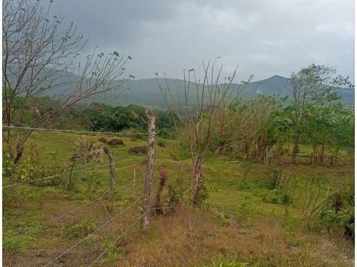 ‏קרקע ב  Capira, Distrito de Capira