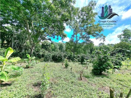 Cortijo o casa de campo en Río Sereno, Distrito de Renacimiento