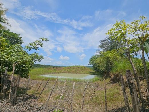 ‏בתים כפריים או חוות ב  El Jagüito, Distrito de Antón