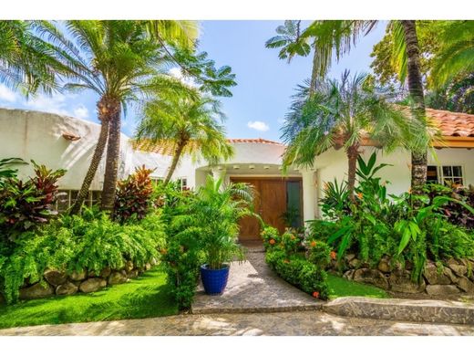 호화 저택 / San Carlos, Distrito de San Carlos