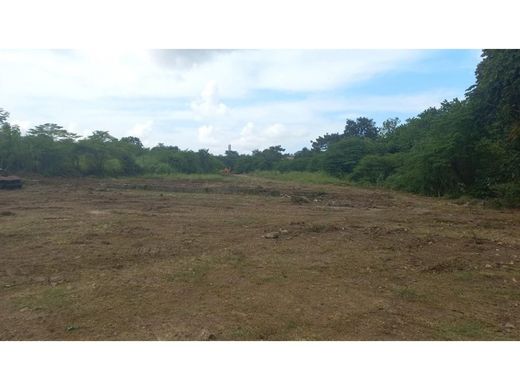 Arsa San Miguelito, Distrito San Miguelito