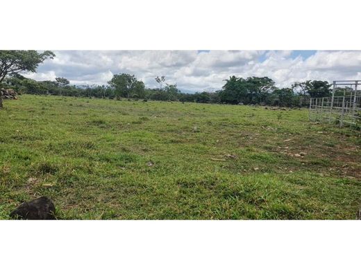 Cortijo o casa de campo en Dolega District, Distrito de Dolega