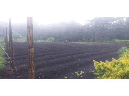 Land in Alto Boquete, Distrito de Boquete