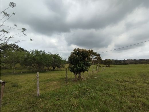Ferme à La Chorrera, Distrito de La Chorrera