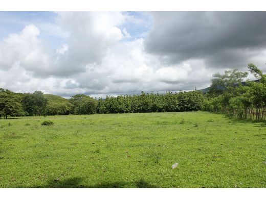 パナマシティ, Distrito de Panamáの土地