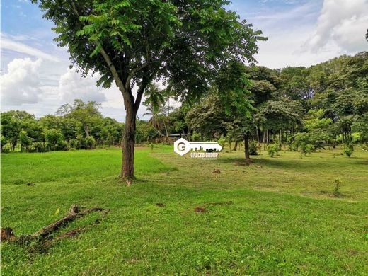 Quinta rústica - Chame, Distrito de Chame