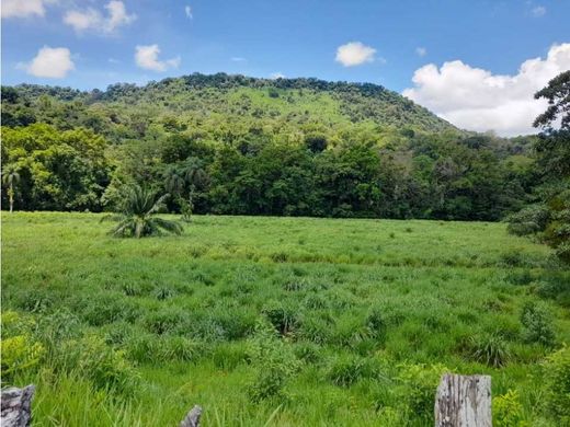 Boerderij in Gualaca, Distrito de Gualaca