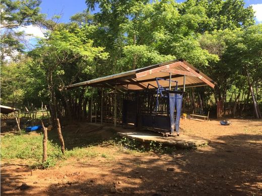 ‏בתים כפריים או חוות ב  Soná, Distrito de Soná