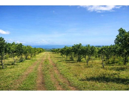 Farmhouse in Dolega District, Distrito de Dolega
