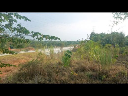 토지 / 파나마 시, Distrito de Panamá