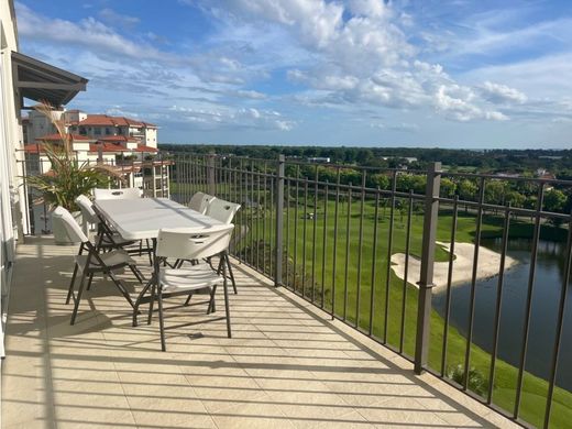 Daire Panama (şehir)
, Distrito de Panamá