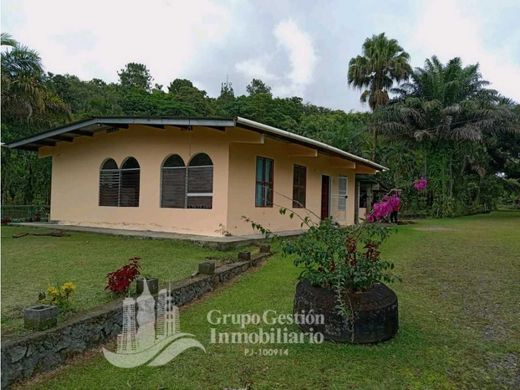 Rustik ya da çiftlik Volcán, Distrito de Bugaba