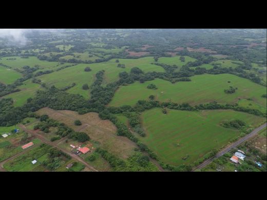 ‏בתים כפריים או חוות ב  Pedasí, Distrito de Pedasí