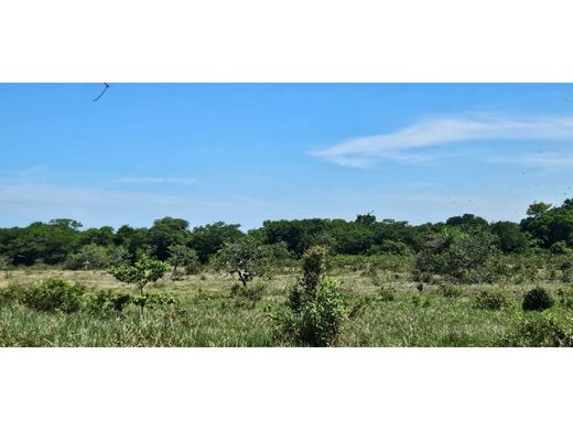 Ρουστίκ ή αγροικία σε Dolega District, Distrito de Dolega