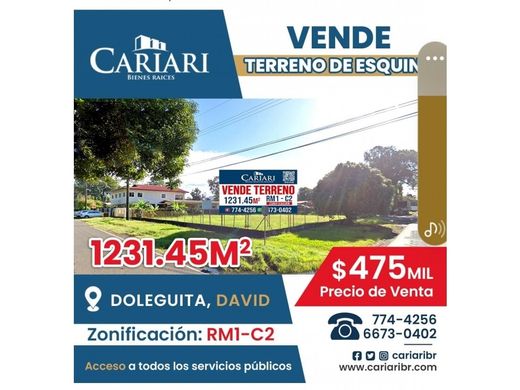 Terrain à David, Distrito de David