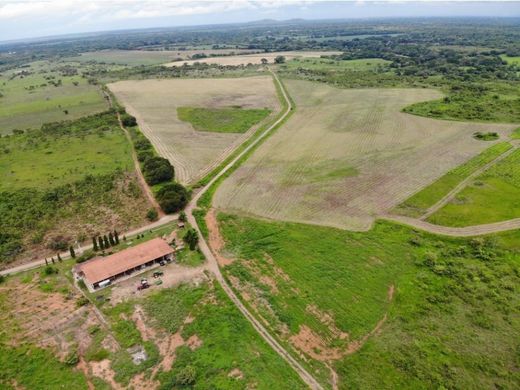 Boerderij in Natá, Distrito de Natá