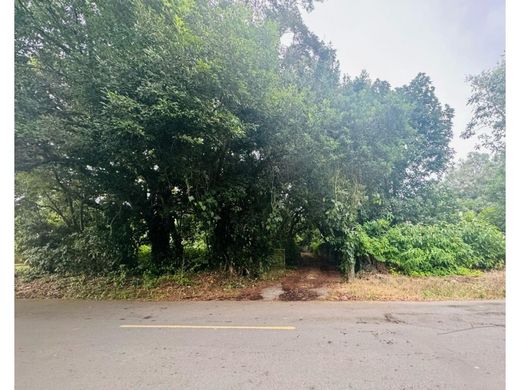 Land in David, Distrito de David