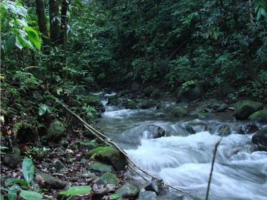 Rustik ya da çiftlik Dolega District, Distrito de Dolega
