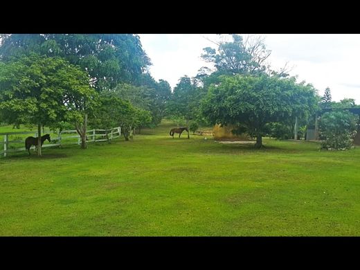 Terreno en La Chorrera, Distrito de La Chorrera