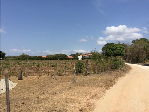 Terreno en Río Hato, Distrito de Antón