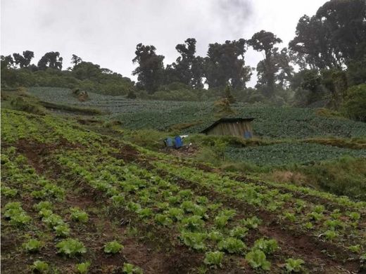 Cortijo o casa de campo en Cerro Punta, Distrito de Bugaba