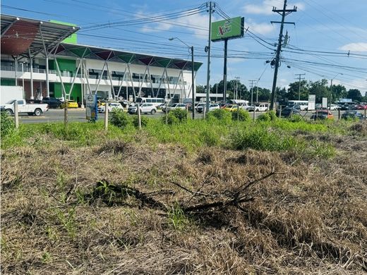 Terreno en David, Distrito de David