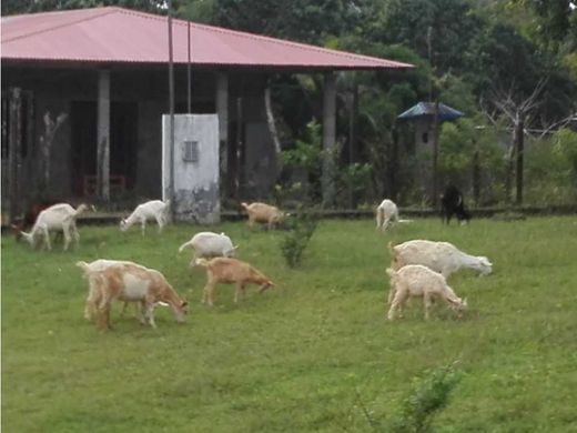 Ρουστίκ ή αγροικία σε Chilibre, Distrito de Panamá