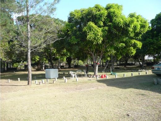 San Carlos, Distrito de San Carlosの土地