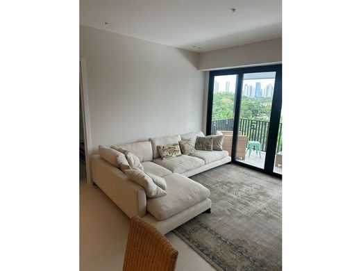 Daire Panama Pacifico, Provincia de Panamá